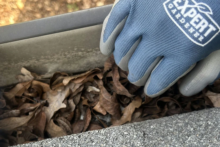 Wilmington Gutter Cleaning