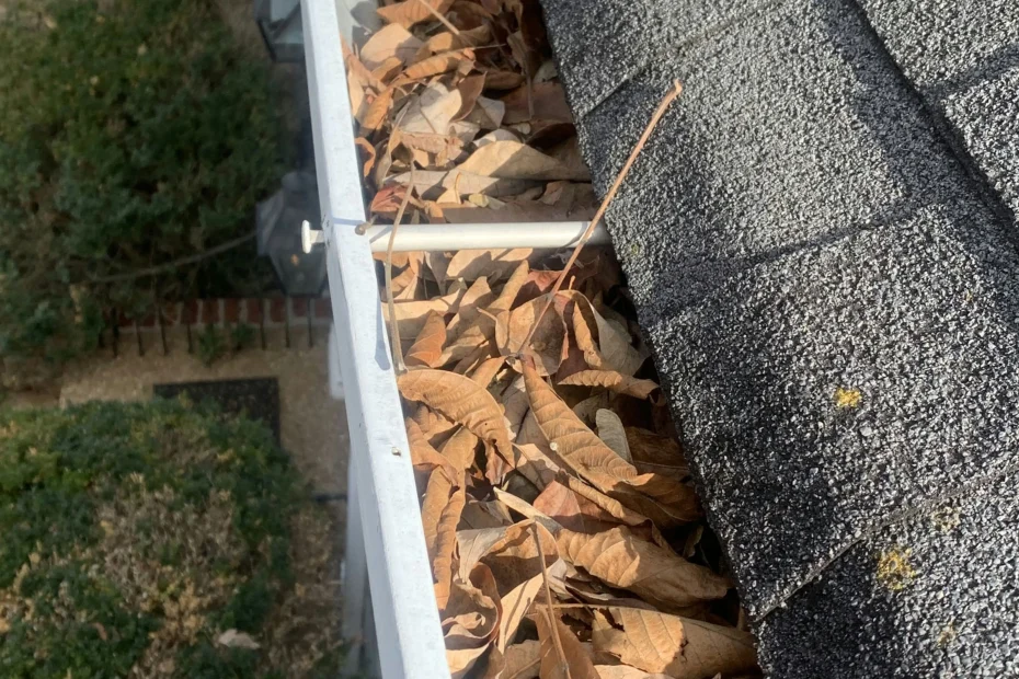 Wilmington Gutter Cleaning