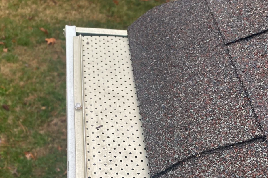 Wilmington Gutter Cleaning