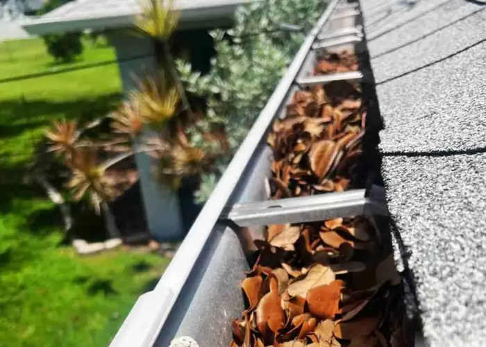 Wilmington gutter cleaning home page